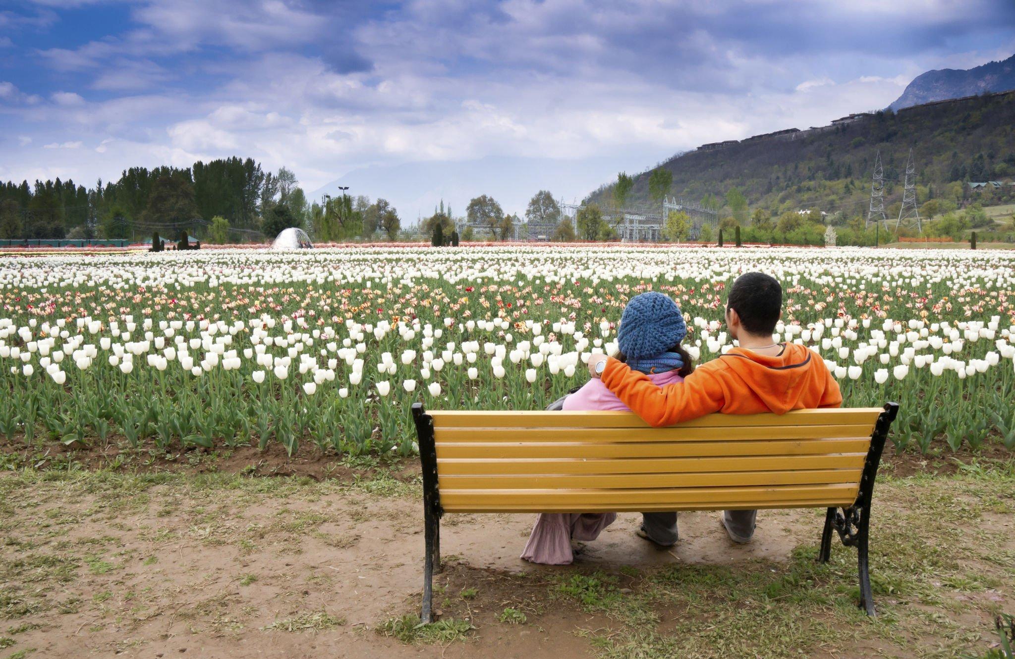 kashmir tour package - tulip gardenbest travel agency in chandigarh - Teji Travels