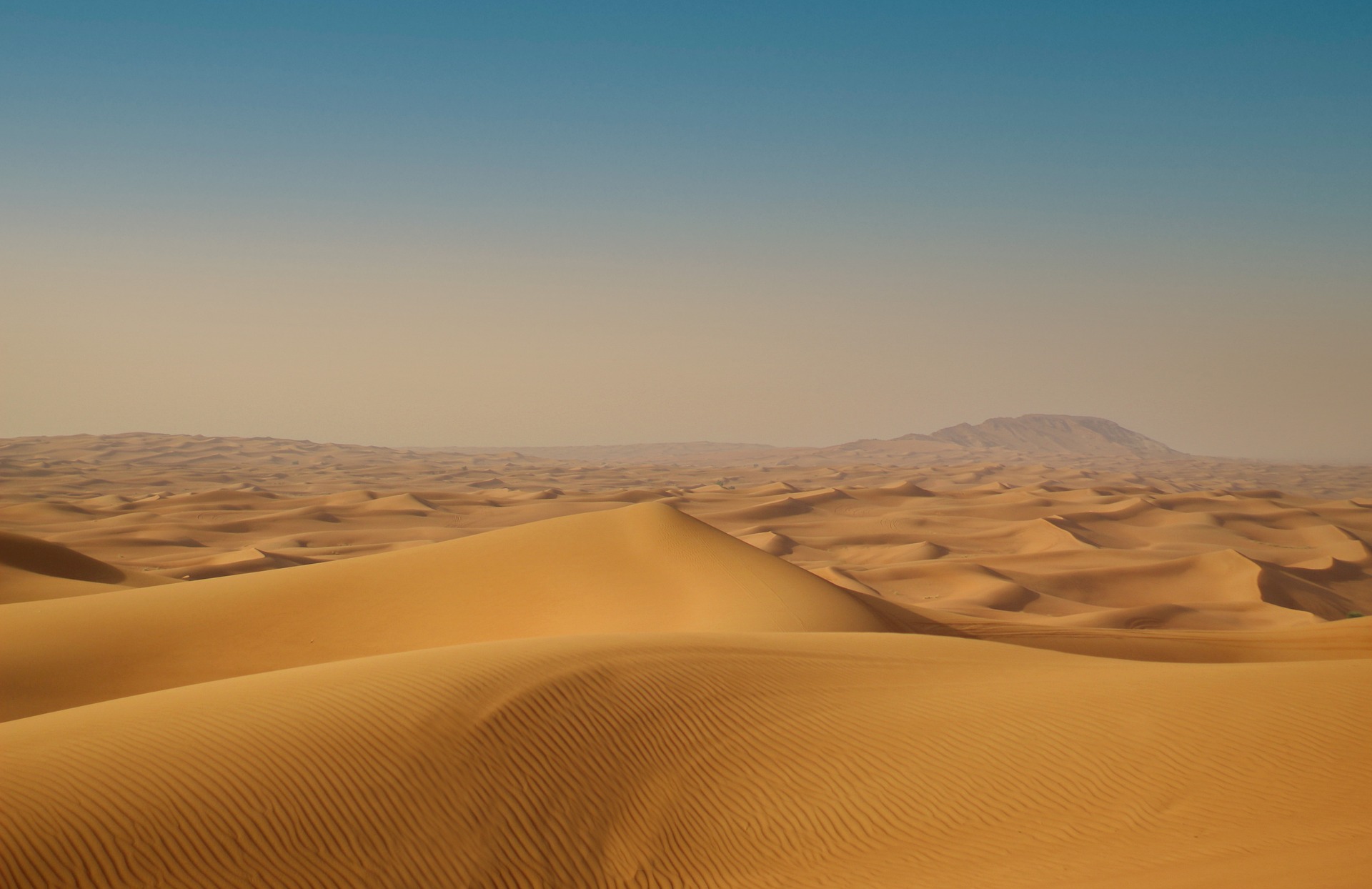 sand dunes dubai teji travels chandigarh